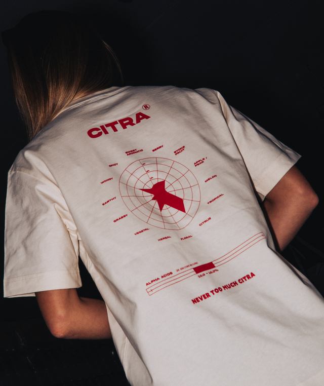 T Shirt SCHEMA CITRA