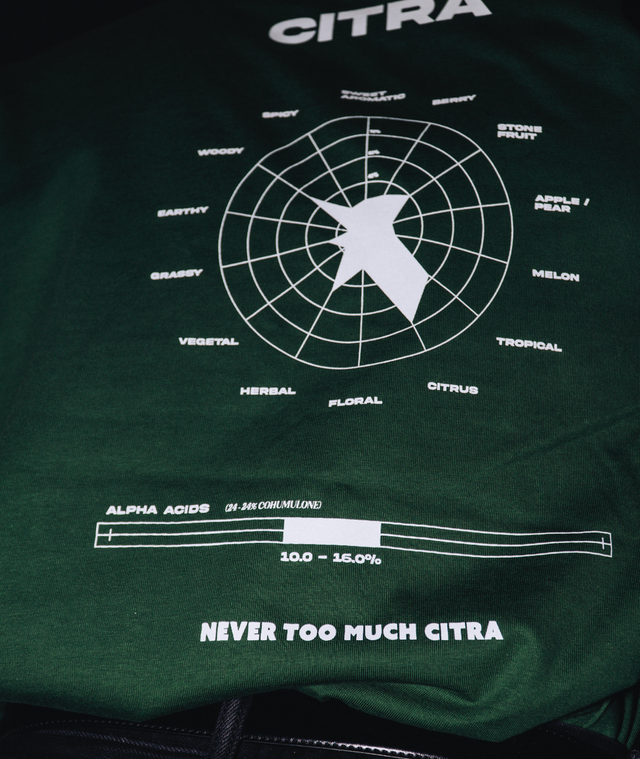 T Shirt SCHEMA CITRA