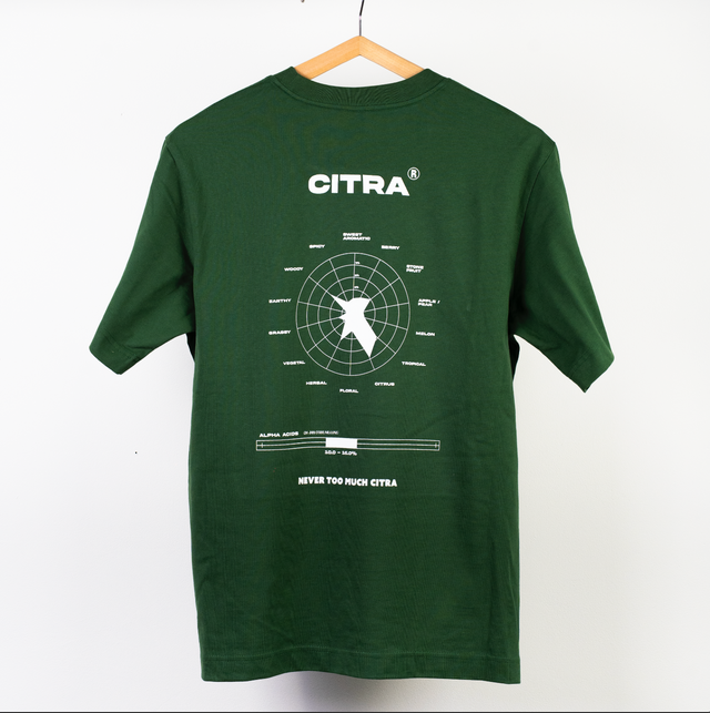 T Shirt SCHEMA CITRA