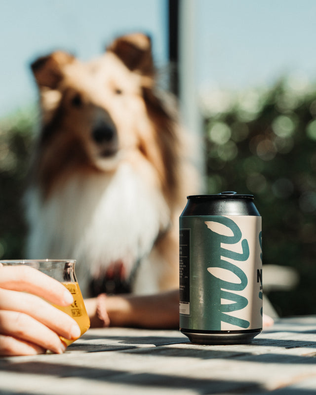 PRIZM NOLO YOPS SIMCOE - NEIPA 0% - PRIZM BREWING CO
