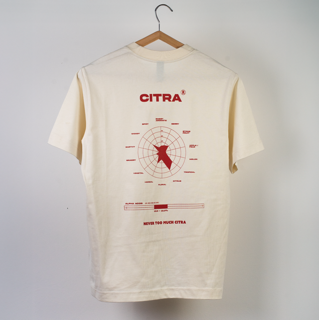 T Shirt SCHEMA CITRA