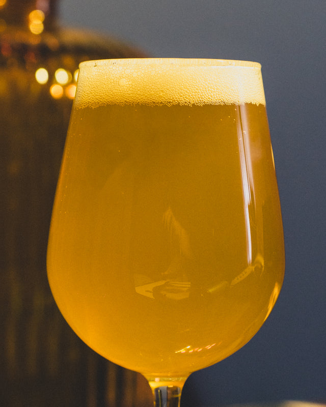 O FORTUNA - Modern West Coast IPA – 6%